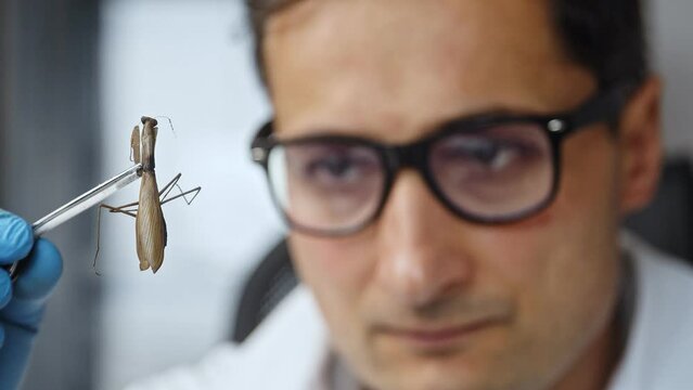 A farmer studies a praying mantis. The world myth of global hunger and the need for insect feeding