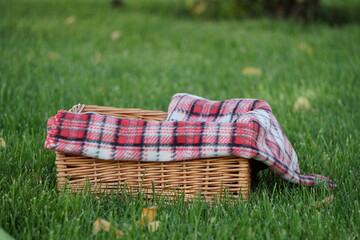 Empty Wicker Basket on green grass. Copy space for text	