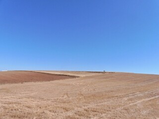 Fototapeta na wymiar Typical dry Extremadura landscape in the summer season