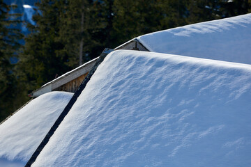 Schneebedeckte Dächer in den Alpen