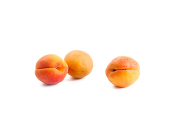 Apricots isolated on white background..