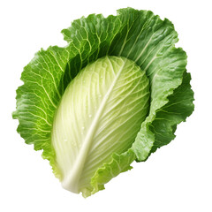 Cabbage leaf on a transparent background, PNG