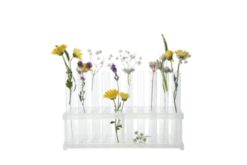 PNG, Test tubes with flowers, isolated on white background