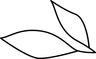Flower Leaves Outline