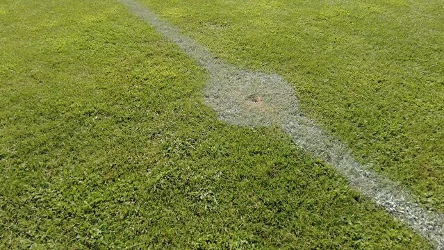 Soccer, Football field grass. Close up of the lines and grass on a soccer pitch.