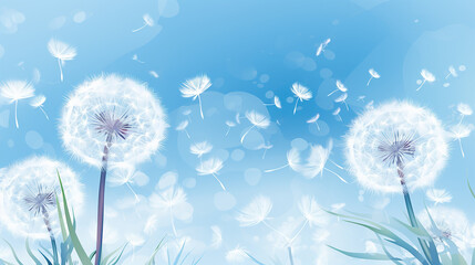 Vector of spring background with white dandelions in blue background
