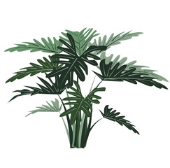 graphic elements for illustration and design, indoor flowers, Philodendron