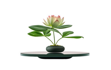 Element for Streamlined and Aesthetically Pleasing Zen Flower Inspired Spaces on a White or Clear Surface PNG Transparent Background