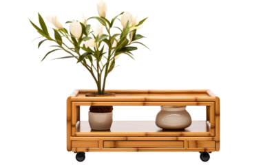 Organization with a Chic Bamboo Rolling Cart and Single Pot on a White or Clear Surface PNG Transparent Background