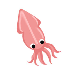 Squid is an aquatic animal in the sea.