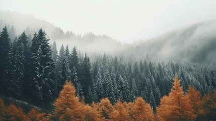 Deurstickers Autumn forest with fog and snow high in the mountains. © Santy Hong