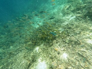 Sierte Pecados, Philippines