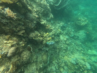 Sierte Pecados, Philippines