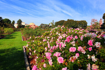 Los Angeles, California: Exposition Park Rose Garden at 701 State Dr, Los Angeles  - 707005536