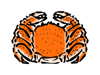 Obraz premium 毛蟹のシンプルなイラスト