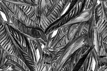Bird of Paradise Seamless Pattern for Swimwear. Black and White Strelitzia Feminine Exotic Design.  Bird-of-Paradise Spring-Summer Tile Tropical Leaf Background. Large Polynesia Floral Print.