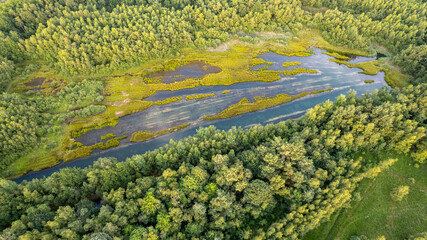 This photograph captures the breathtaking expanse of a wetland ecosystem from an aerial perspective, showcasing the vivid interplay between land and water. The lush greens of the foliage contrast with