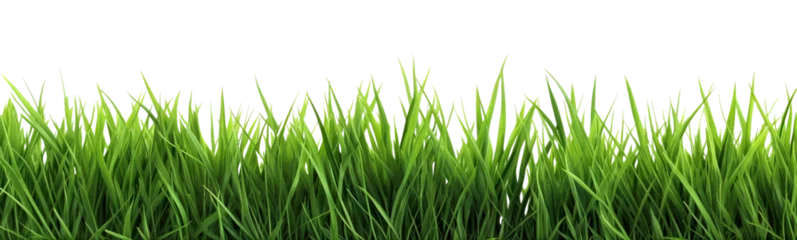 Deurstickers Gras Green fresh lawn grass, cut out