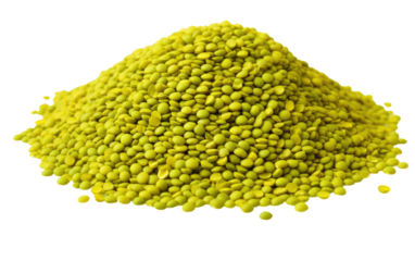 Plate with the Nutrient Rich Symphony of Moong Dal Beans on a White or Clear Surface PNG Transparent Background