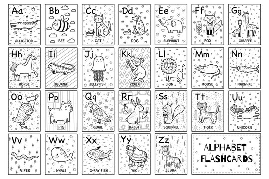 Alphabet black and white flashcards collection with cute animals. ABC flash cards set for coloring in outline. Great for school and preschool. Vector illustration