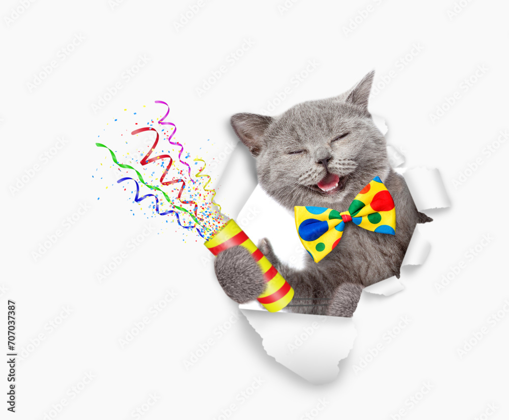 Aufkleber Happy cat wearing tie bow looks through the hole in yellow paper and holds exploding firecracker