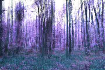 Fairytale forest scene abstract with motion blur
