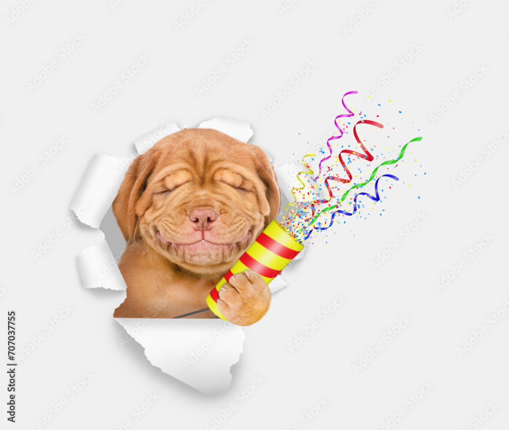 Aufkleber Smiling Mastiff puppy with eye closed explodes a firecracker through the hole in white paper