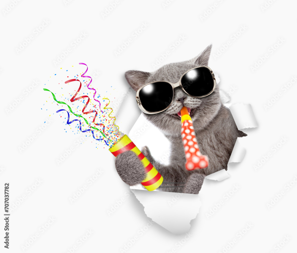 Poster happy cat wearing sunglasses looks through the hole in white paper, blows in party horn and holds ex
