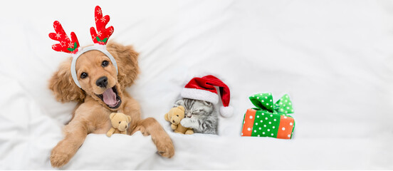 Happy English Cocker spaniel puppy dressed like santa claus reindeer  Rudolf hugging toy bear and...