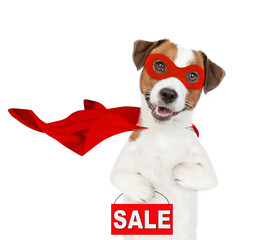 Funny jack russell terrier puppy wearing superhero costume looking awa on empty space and  shows signboard with labeled 