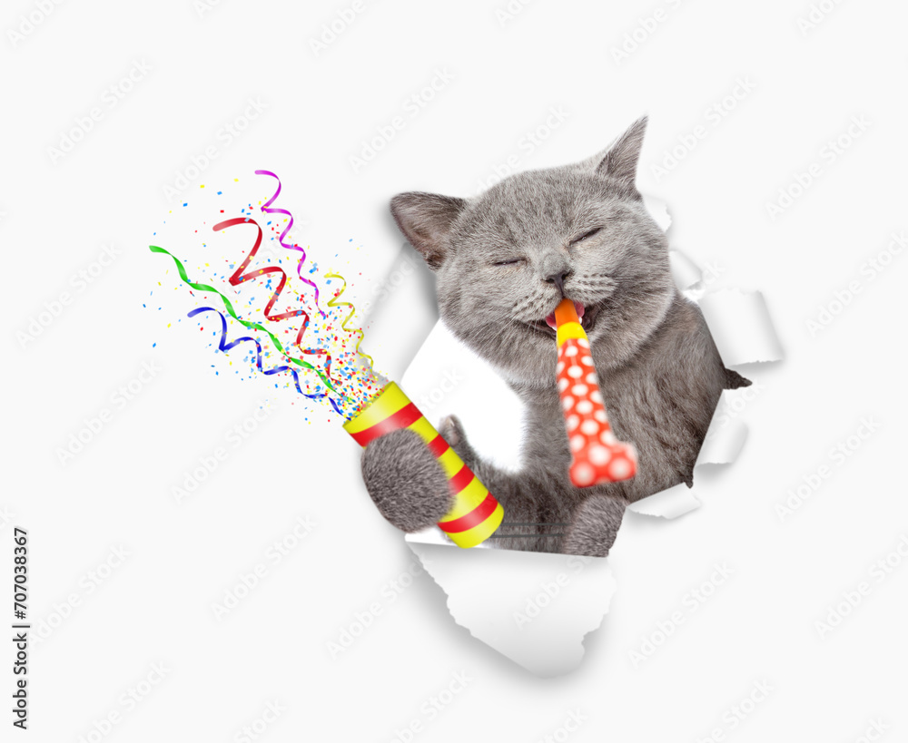Leinwandbilder happy cat looks through the hole in white paper, blows in party horn and holds exploding firecracker