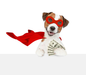 Funny jack russell terrier puppy wearing superhero costume looking above empty white banner and shows dollars usa. Isolated on white background