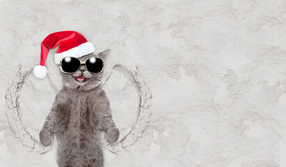 Happy cat wearing sunglasses and red santa hat making snow angel while lying on snow. Empty space...