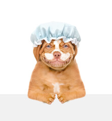 Smiling Mastiff puppy wearing shower cap and with cream on it face looks above empty white banner. isolated on white background