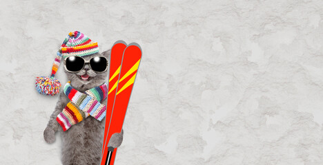 Happy cat wearing sunglasses, warm woolen hat with pompom and knitted scarf lying on the snow and...