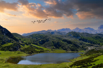 Golden Hour Serenity at Tranquil Lake, Lush Valley with Reflective Waters, Birds in Flight, Scenic...