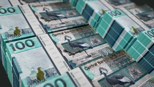 Gambia money Gambian dalasis pack loop 3d animation. Loopable seamless concept of finance, cash, economy, business and bank. Camera moving over 100 GMD banknote bundle stacks.