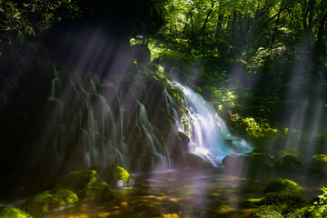 滝と光のカーテン