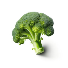Broccoli isolated on clear white background