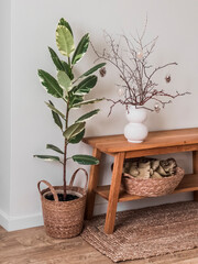 Easter bouquet on a wooden bench, ficus flower in a basket in the living room interior