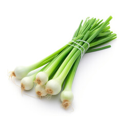 Green Onions isolated on clear white background