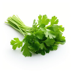 Parsley isolated on clear white background