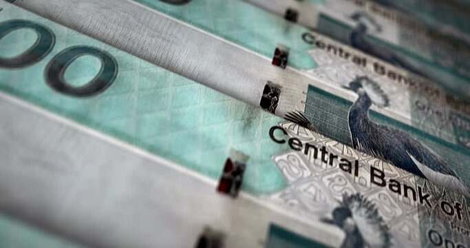 Gambia money Gambian dalasis banknote loop. 100 GMD money texture. Concept of economy, business, crisis, banking, recession, debt and finance. Moving over note loopable seamless 3d.