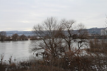 A body of water with trees and a hill in the background