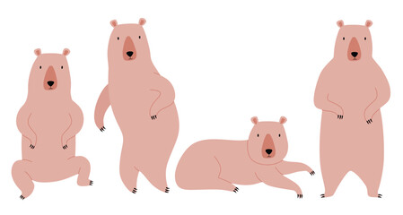 Cute bear cartoon character flat vector illustrations set. 