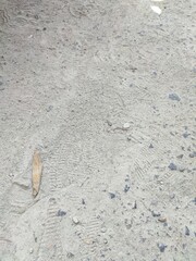 sand dunes by the road illuminated by sunlight in an urban environment on a gray background