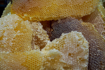Natural comb honey, Turkish Karakovan Honey. Honey Concept.