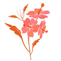 flower isolated on white