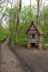 Baba Yaga's wooden hut in the middle of the forest