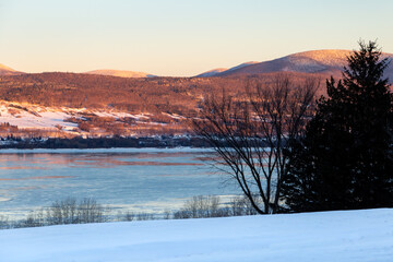 Row of trees seen in winter at sunrise, with the St. Lawrence River and the Laurentian mountains in soft focus background, Sainte-Famille, Island of Orleans